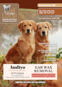 Belper Edition - All Things Local